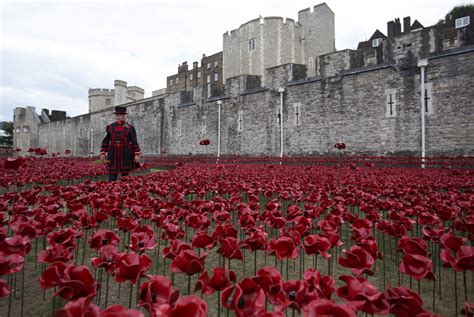 Wwi 100th Anniversary How Brand Poppy Lost Its Power