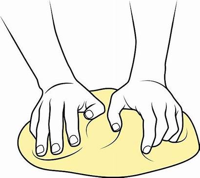 Dough Kneading Clipart Kneten Teig Baking Vektor