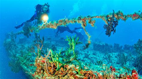 Derelict ships, concrete blocks, scrapped cars strong currents, for example, the choice of design and materials for an artificial reef depends on where it is going to be placed. Artificial Reefs: Everything you should know and more much