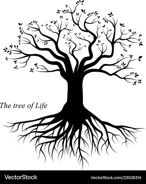 Tree Of Life Royalty Free Vector Image Vectorstock