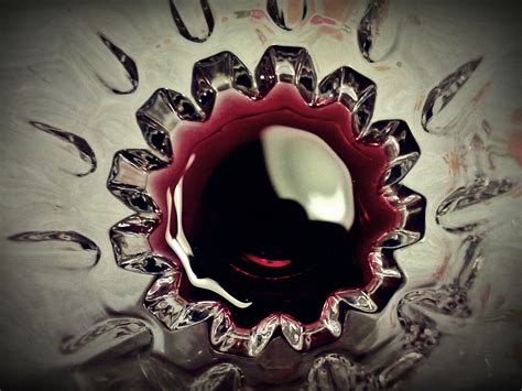 Free Images Wine Flower Glass Red Darkness Black Circle Art