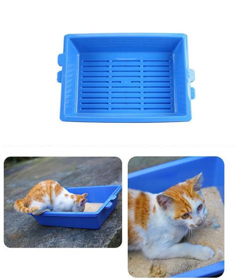 The Various Benefits Of Using A Sifter Tray To Clean Your Cats Litter