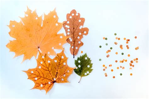 How To Make Some Easy Autumn Leaf Crafts Print Color Fun