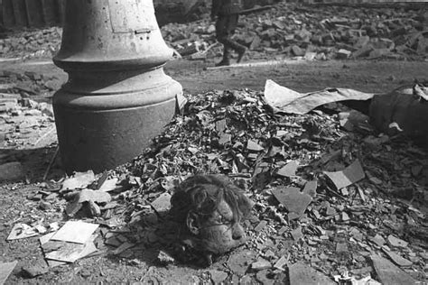Very Graphic Images Battle For Berlin World War Graphic Image