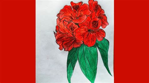 How To Draw A National Flower Laligurans Flower Rhododendron Youtube