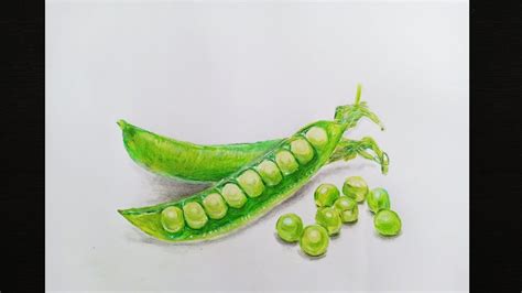 How To Draw Green Peas Easy And Step By Step Youtube