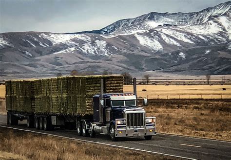 Hay Hauling Flatbed Show Trucks Road Train Rocky Mountains