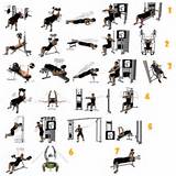 Pictures of Fitness Exercises Plan