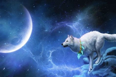 Download any/all unsplash images for free. Wolf Howling at The Moon Wallpaper ·① WallpaperTag