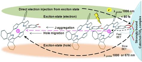 Exciton‐coupled Charge‐transfer Dynamics In A Porphyrin J‐aggregate