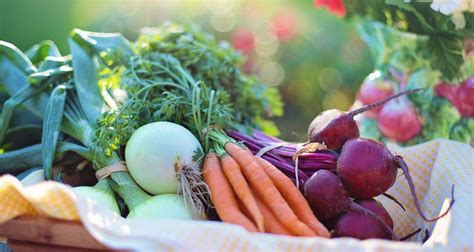 How To Harvest And Store Your Vegetables For Maximum Freshness Dian