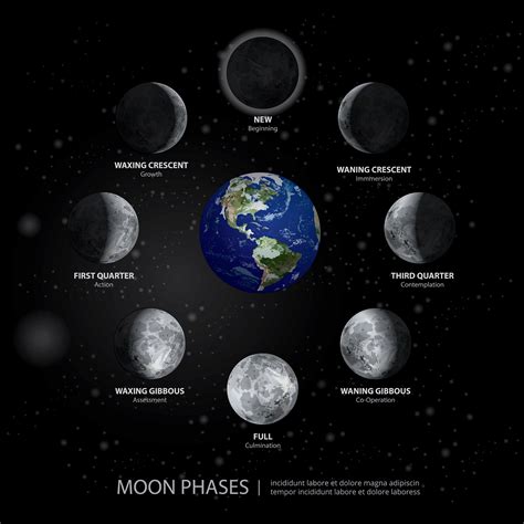 Movements Of The Moon Phases Realistic Vector Illustration Vector Art At Vecteezy