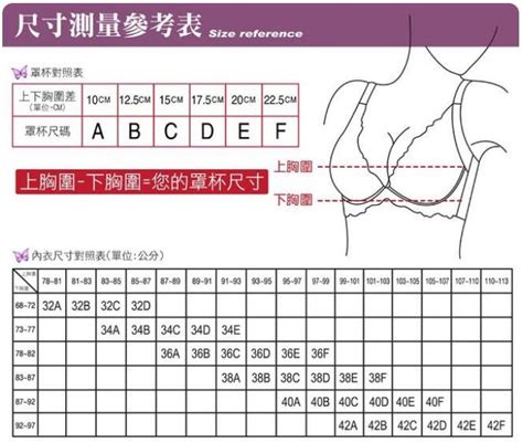 尺码对照表 衣服服装尺码表