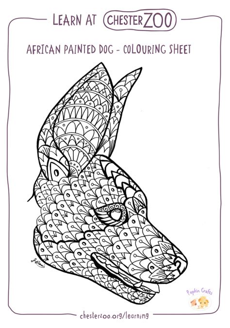 Colouring Sheet African Painted Dog Schools