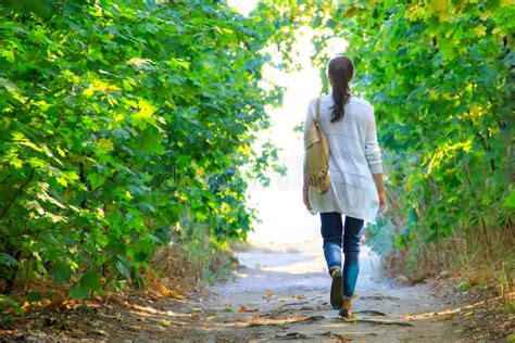 Eine Frau Geht Entlang Einen Weg In Einem Park In Einem Wald Im Herbst