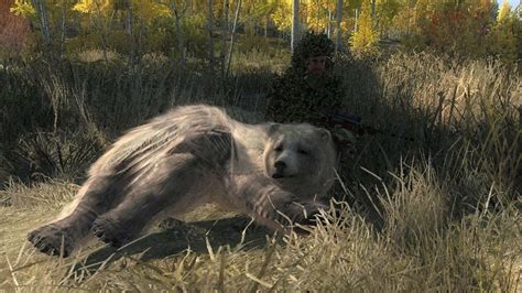 Thehunter Grizzly Bear Kill Montage Youtube