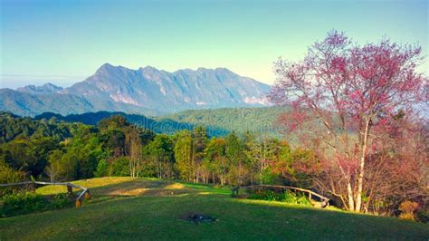 Doi Luang Chiang Dao Mountain At Chiangmai Thailand Stock Image Image
