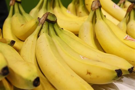 Banana Extinction Panama Disease Has Returned And The Cavendish Is No Longer Resistant