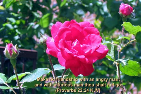 During hard times, keeping calm is a daily challenge. Bible Quotes About Flowers. QuotesGram