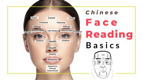 Chinese Face Reading Basics — Picture Healer Feng Shui And Fortune