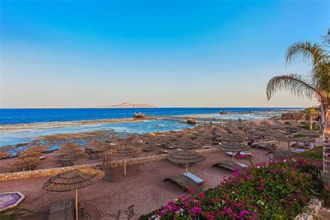 Last Minute Шарм эль Шейх отель Cleopatra Luxury Resort Sharm El
