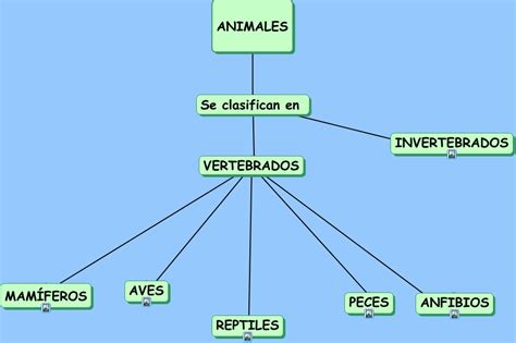 Mapa Conceptual Animales Vertebrados