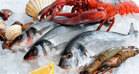 Learn About The 3 Most Common Types Of Seafood Eat With Me