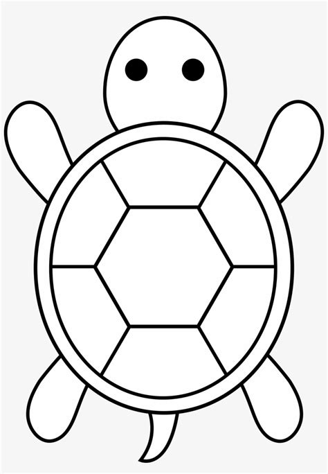 Turtle Outline Clip Art Vector Illustration Line Art Coloring Page