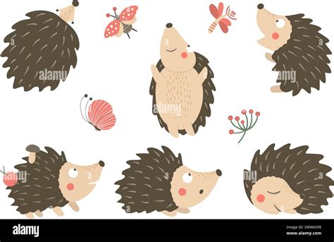 Vector Set Of Cartoon Style Flat Funny Hedgehogs In Different Poses