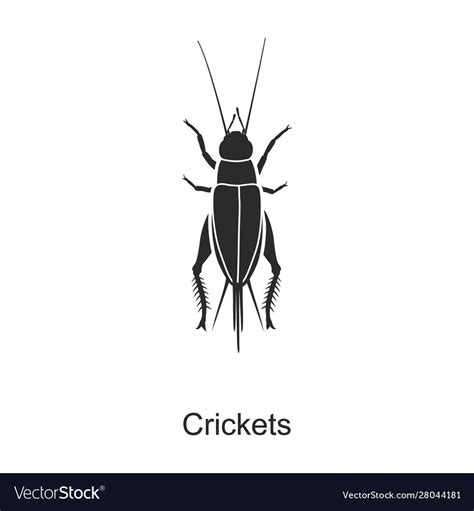 Insect Cricket Iconblack Icon Royalty Free Vector Image