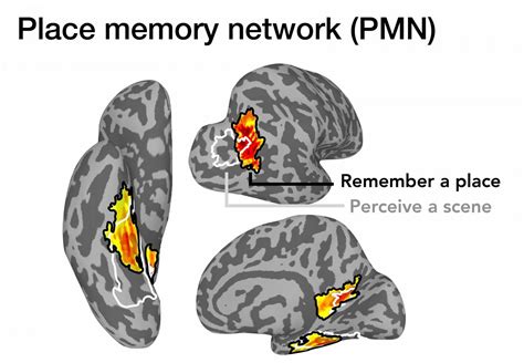 New study reveals where memories of familiar places are stored in the brain