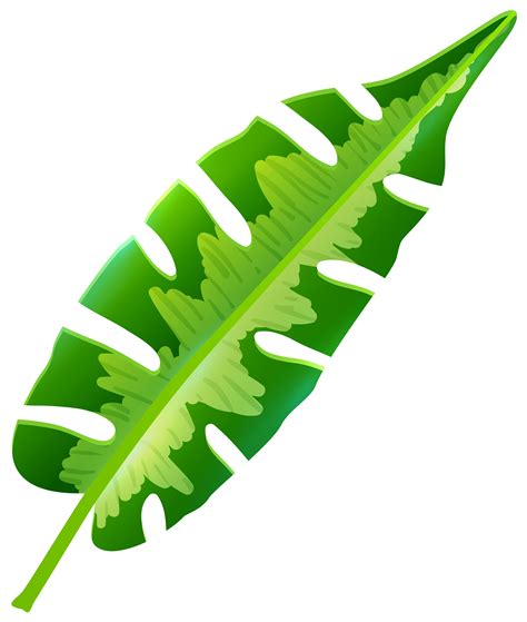 Tropical Leaf Clip Art Clipart Free Download