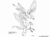 Griffin Coloring Printable Adults sketch template