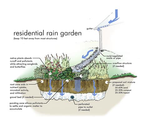 A rain garden also reduces the amount of lawn chemicals and pet wastes that may otherwise run off into local lakes and rivers. The rain advantage | Tulalip News