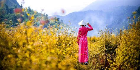 Ao Dai A Short History Of Vietnams Most Popular Dress Travelogues