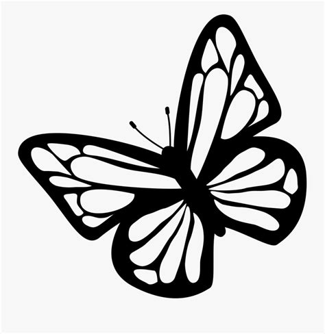 Butterfly Black And White Clipart Download Free Images Butterfly Svg