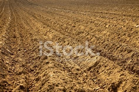 Soil Stock Photo Royalty Free Freeimages