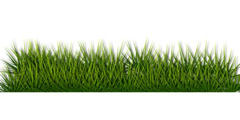 Background Border Grass · Free vector graphic on Pixabay png image