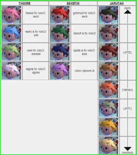 Guide showing how to choose your hair style and color at shampoodle in animal crossing: 25 Top Photos Animal Crossing City Folk Hair Color Guide ...