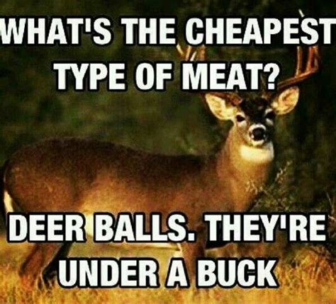 Redneck Deer Hunting Jokes