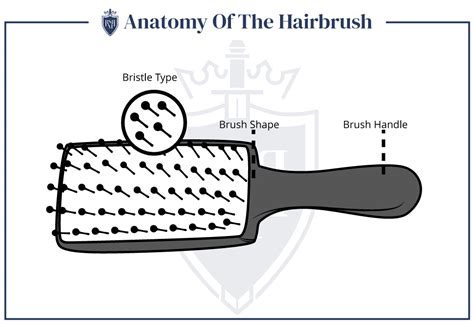 How To Brush Your Hair Correctly Ultimate Guide To Mens Hair