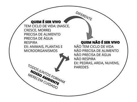 Plano De Aula 2o Ano Seres Vivos