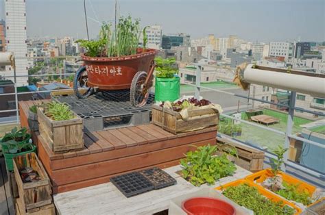 Urban Gardening So Funktioniert Es