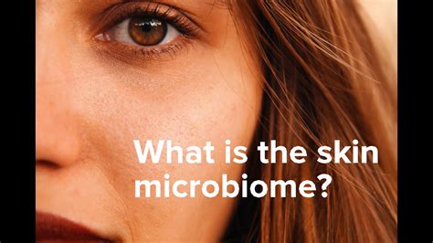 What Is Skin Microbiome Youtube