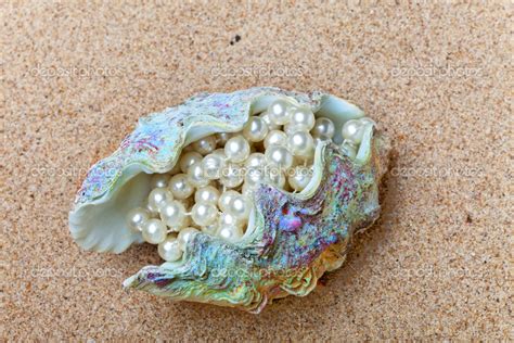 multi-color brillante concha con perlas dentro — Fotos de Stock