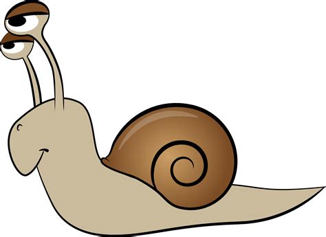 Snail Animation Clip Art Snails Png Download 17871303 Free