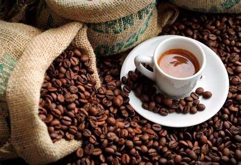 When plucked, the coffee beans inside can be extracted and roasted to produce an. 7 Foods That Cause Acid Reflux | Bewellhub