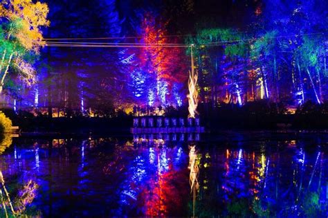 The Enchanted Forest Stunning Sound And Light Show Opens Its Doors For