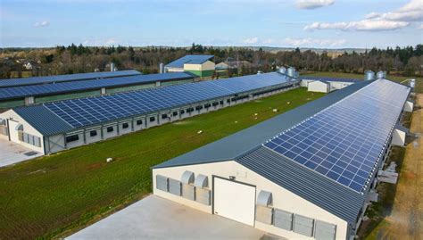 France  le photovoltaïque agricole de plus en plus rentable