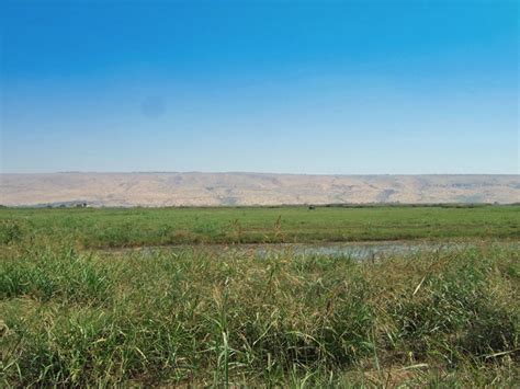 The Hula Valley Nature Reserve In Upper Galilee Israel